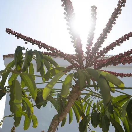 Appart hôtel Fuentepark Corralejo